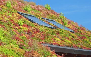 Rankinston living roof systems
